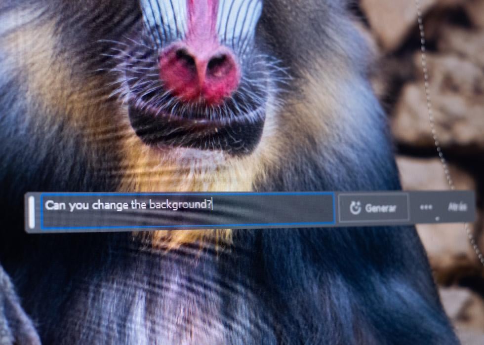 Photo of a monkey with an AI prompt on it.