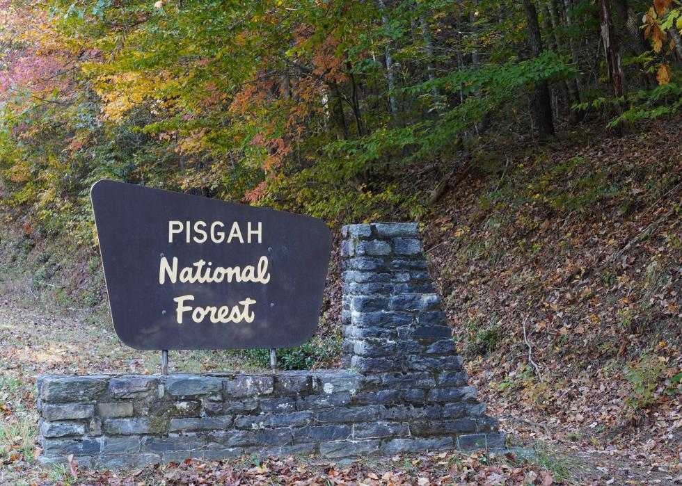 Entrance sign for the Pisgah National Forest.