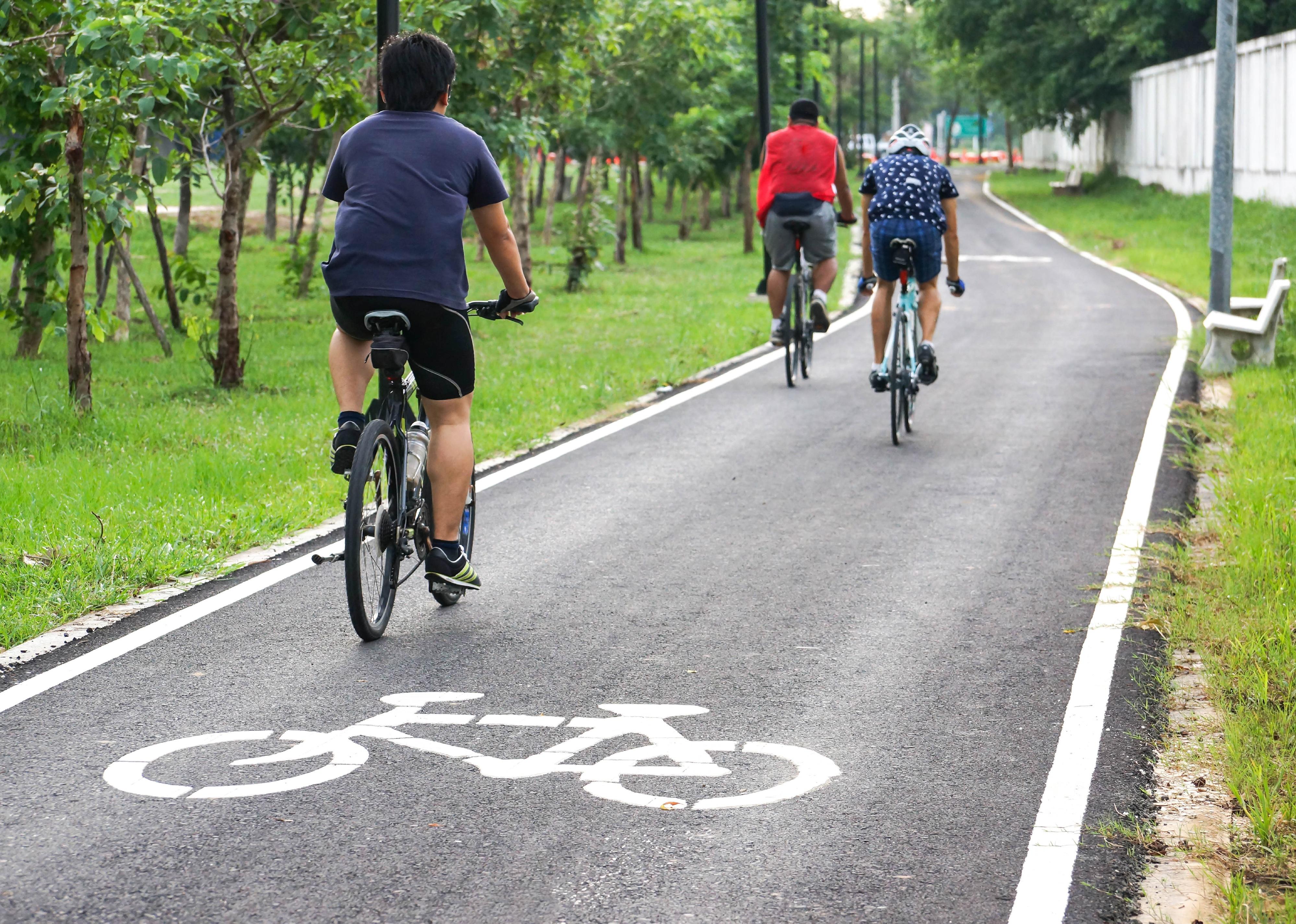 Cyclists ride along a bicycle lane in a park.