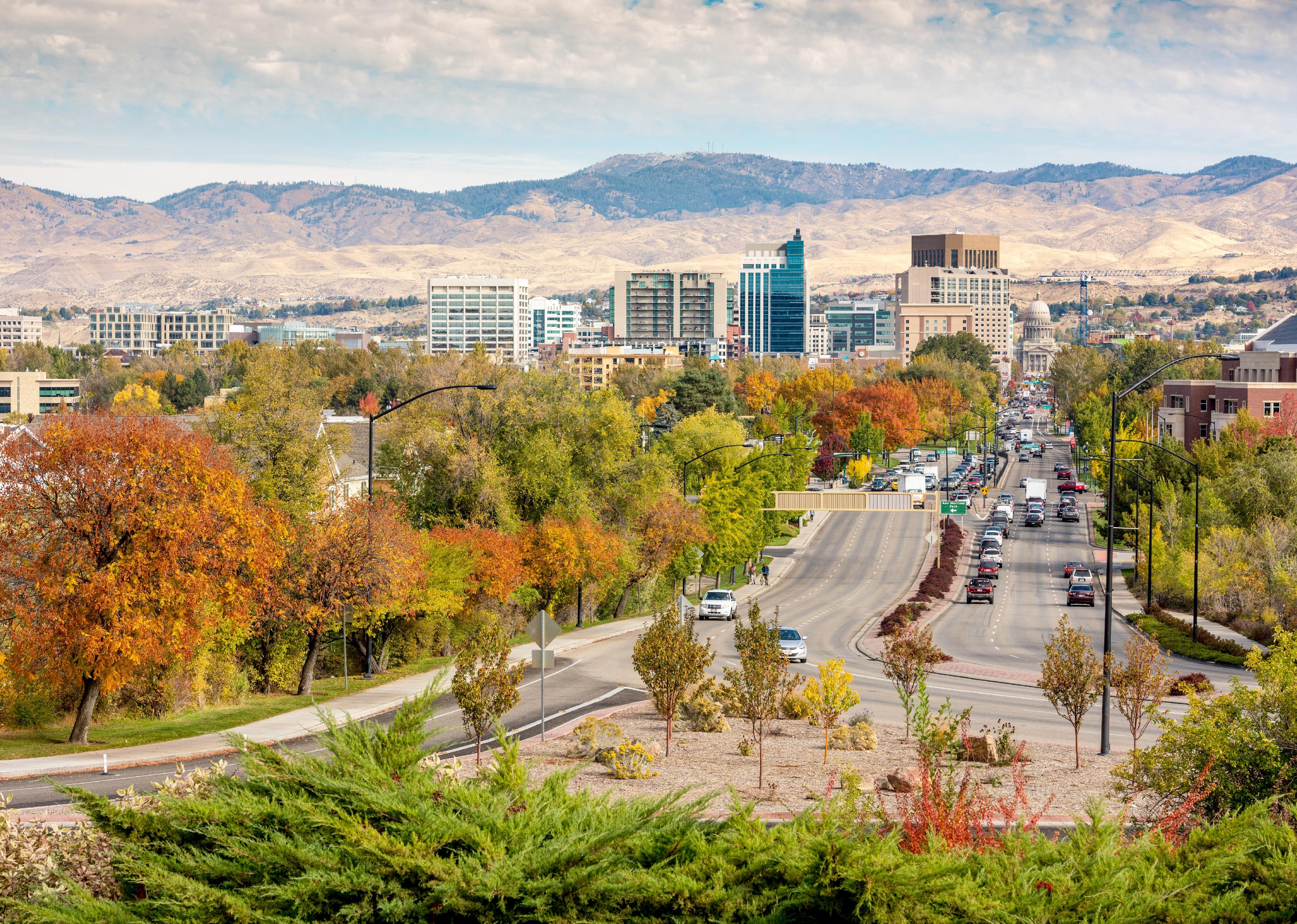 Aerial view of a Boise street leading to the capitol building in fall.