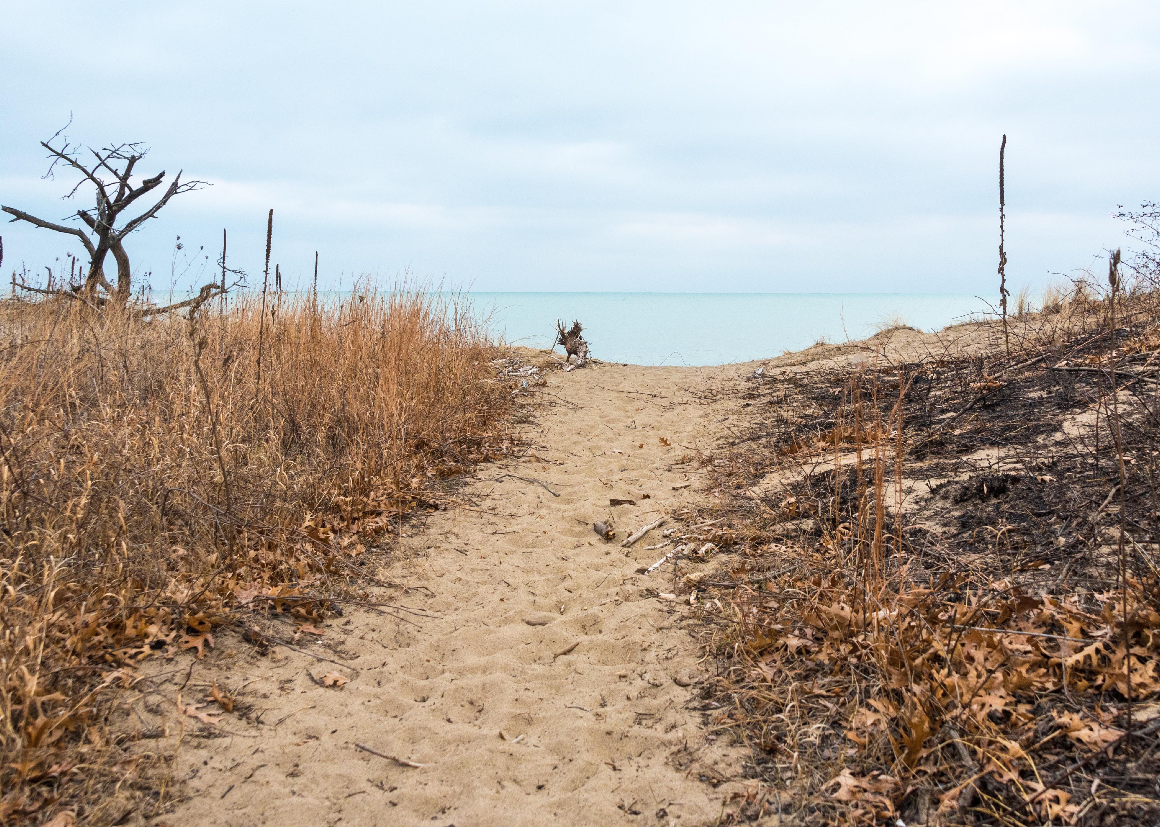 Trail through sand dunes on beach on Lake Michigan.