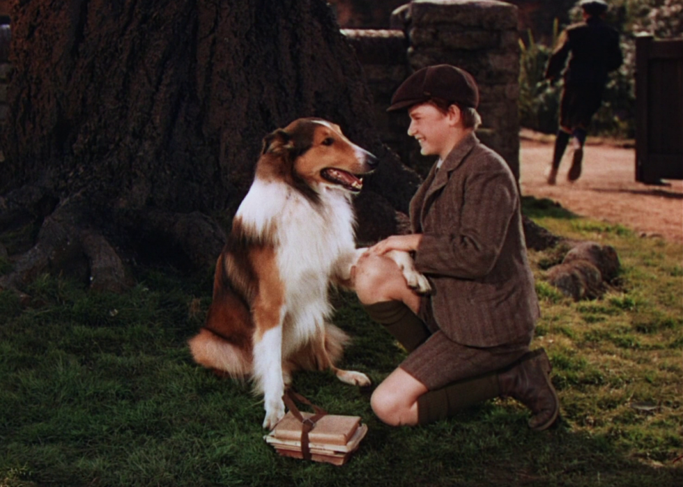 Memorable Pets from Film History | Stacker