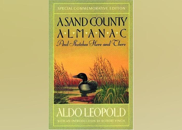 Books Set in Wisconsin Stacker