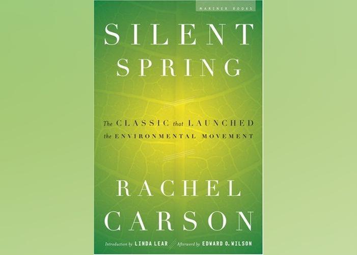 Books Set in Maine Stacker