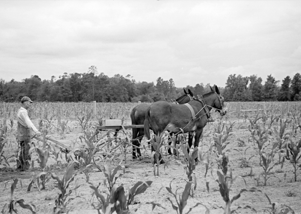 How Farming Has Changed In Every State The Last 100 Years | Stacker