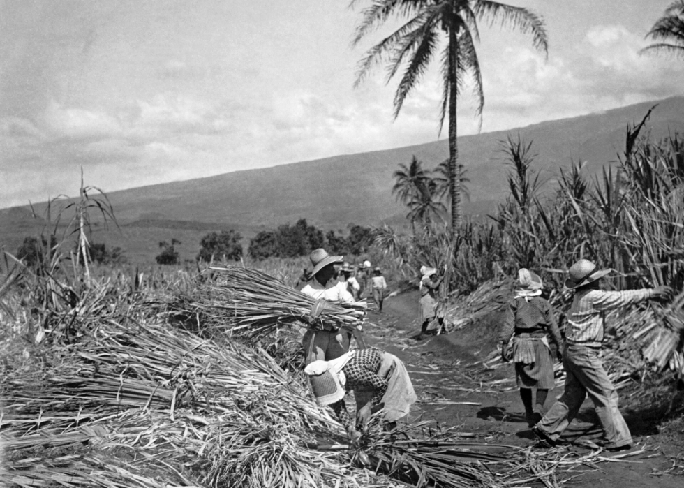 How Farming Has Changed In Every State The Last 100 Years | Stacker