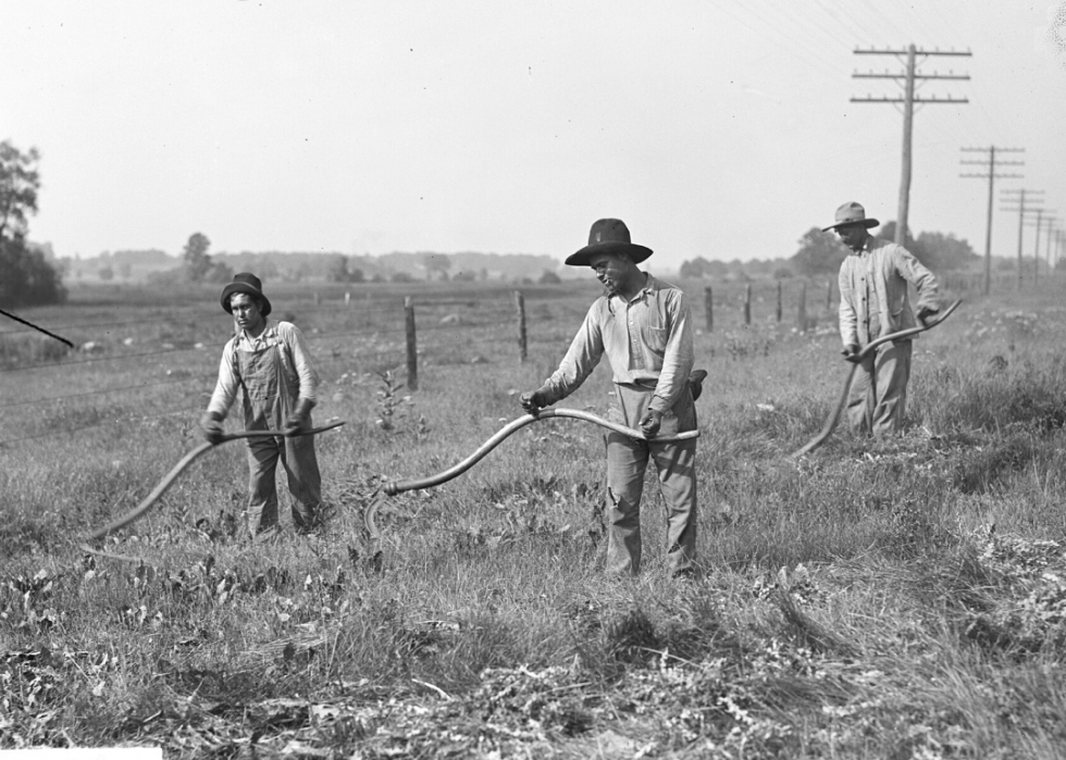 working-conditions-for-farmers-in-the-1900s-farmer-foto-collections