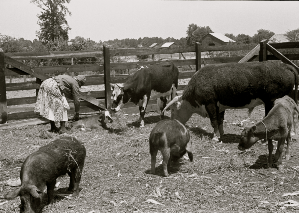 How Farming Has Changed In Every State The Last 100 Years | Stacker