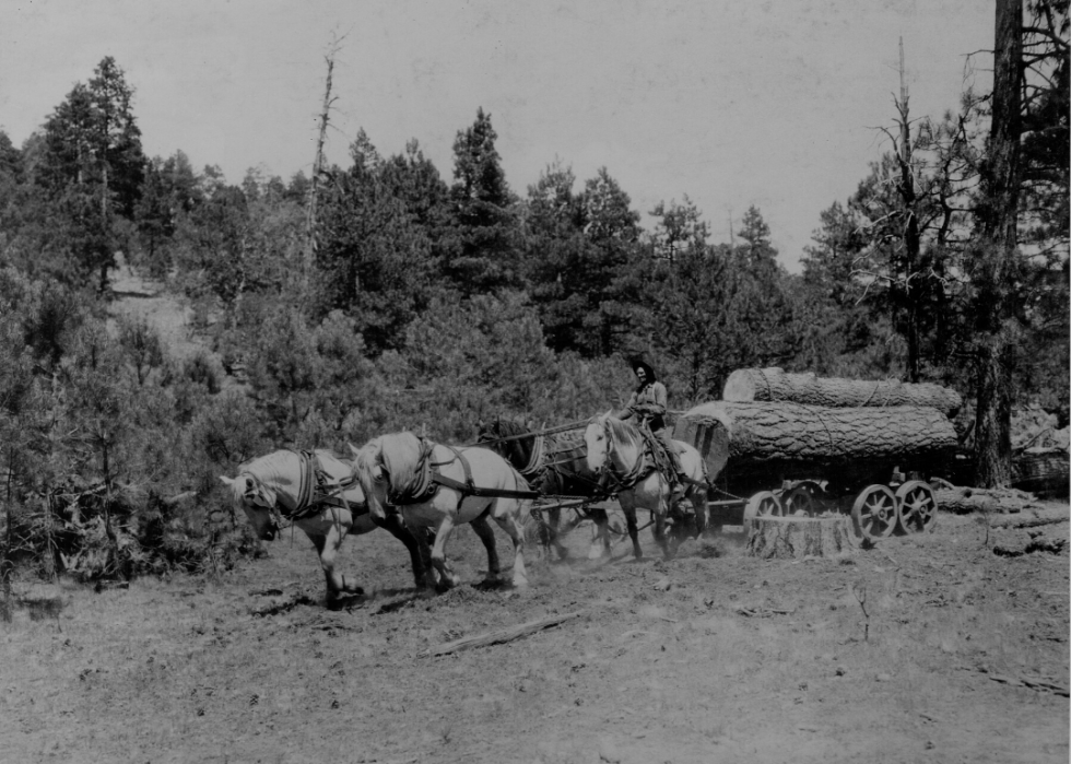 How Farming Has Changed In Every State The Last 100 Years | Stacker