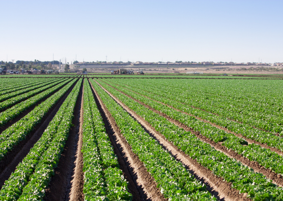 How Farming Has Changed in Every State the Last 100 years | Stacker