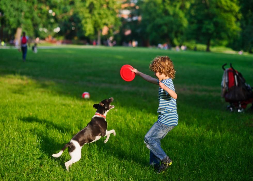 A young boy playing frisbee with a medium-sized dog in a park.