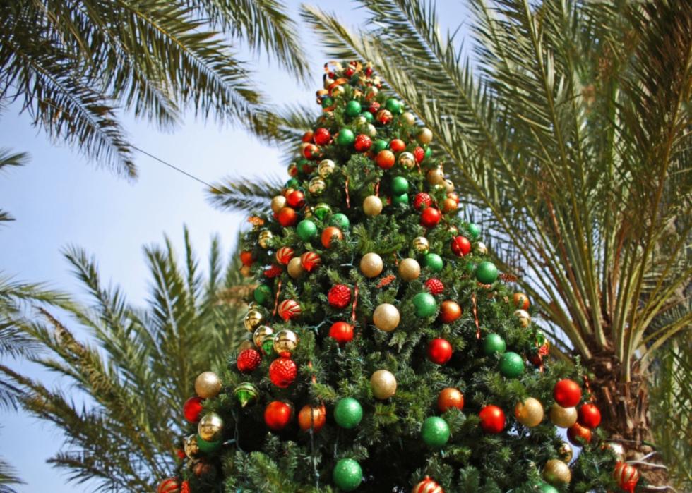 A Christmas tree surrounded by palm trees.