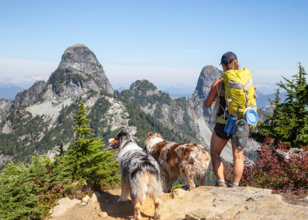 A person hiking with two dogs, stopped at an overlook.