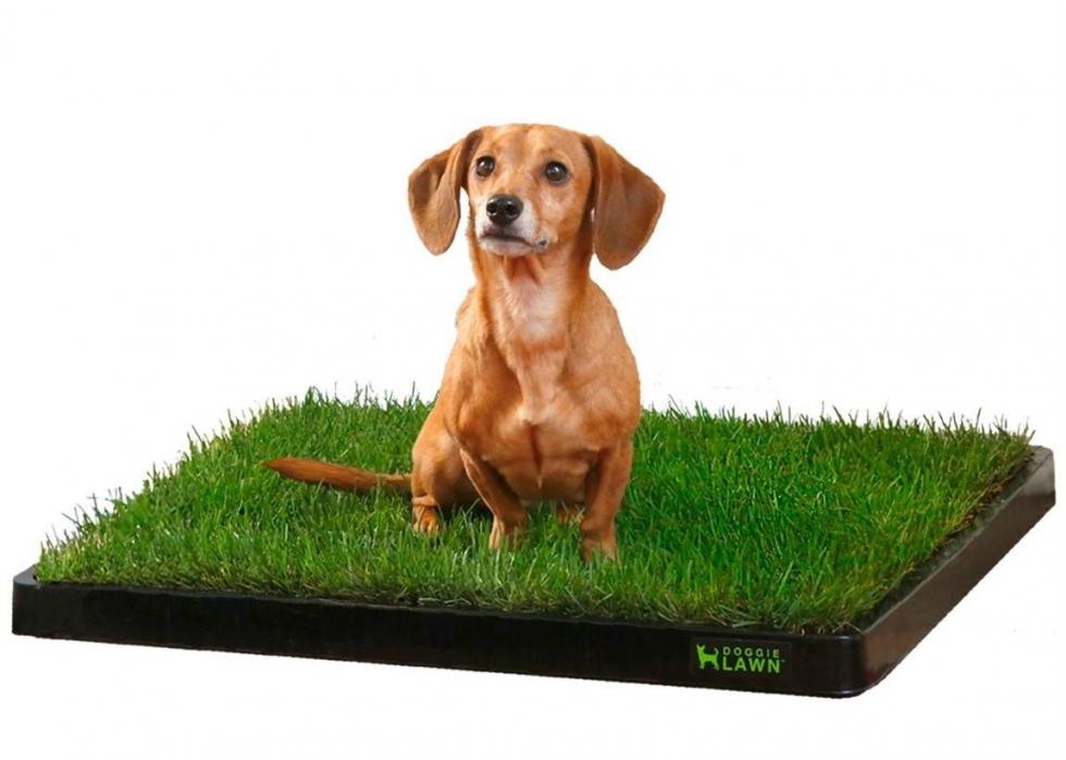 WOLF CUB  Replica 387244 ~ FREE SHIP/USA w/ $25. Mojo Products 