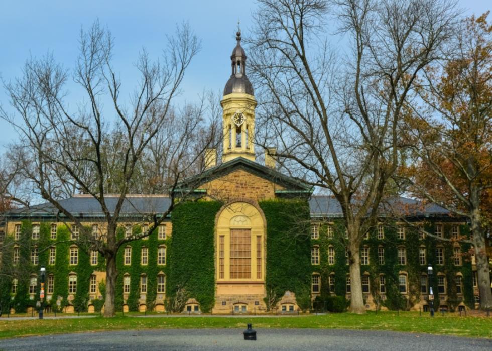 Creeping vines on Princeton University.