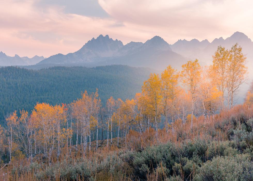 View of the Sawtooth Mountains in Idaho.