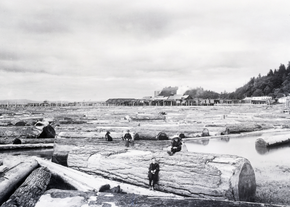 A large sawmill in Portland.