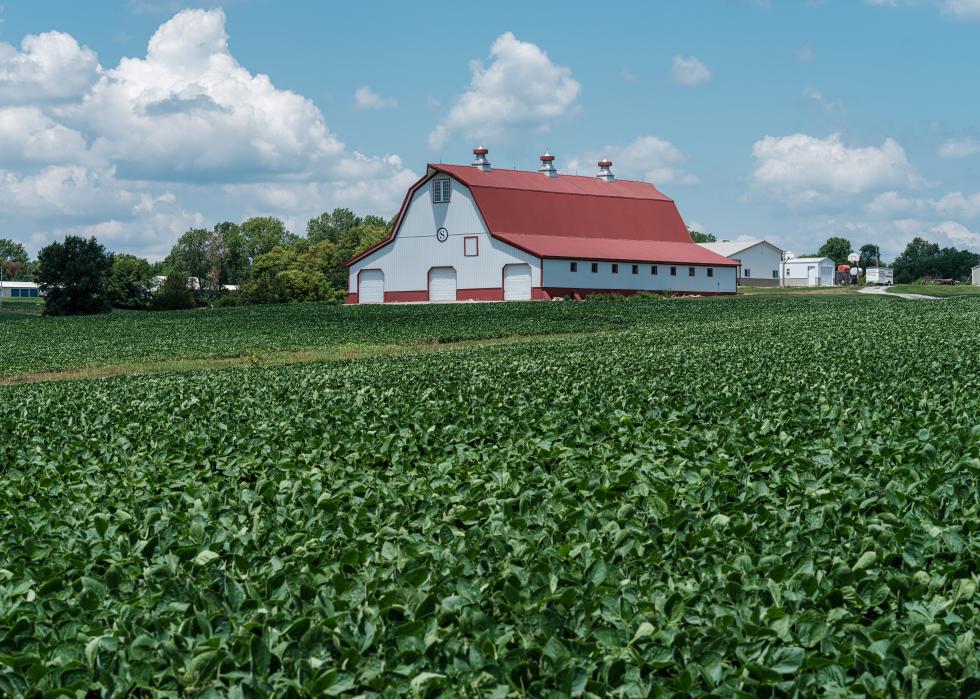 Midsummer agricultural field with red roof barn in Missouri.