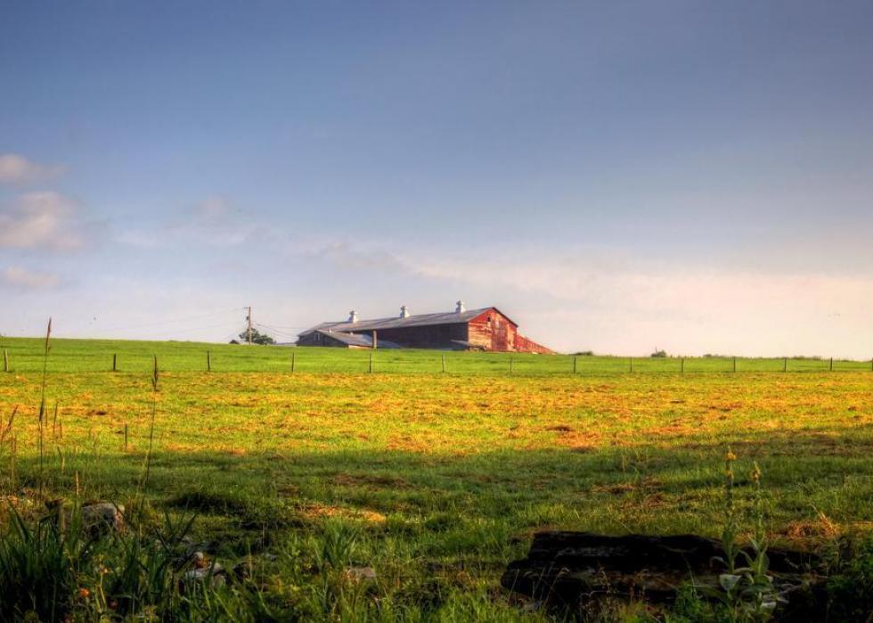 States With the Most Farmland | Stacker